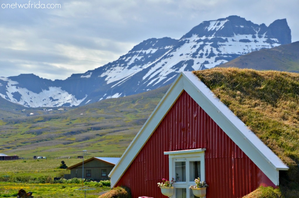 Bakkagerdi - Islanda