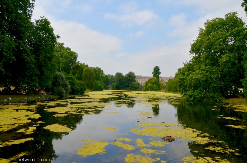 Saint James's Park - londra - Vista di Buckingham Palace