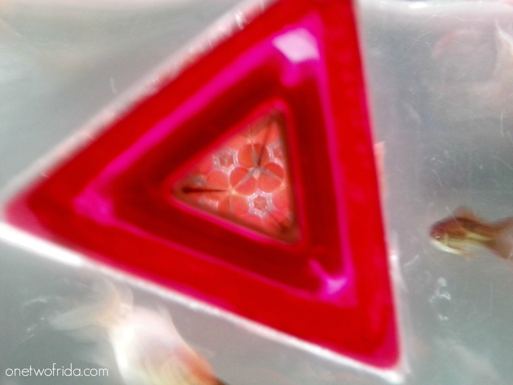 Art Aquarium - Kingyo - Milano