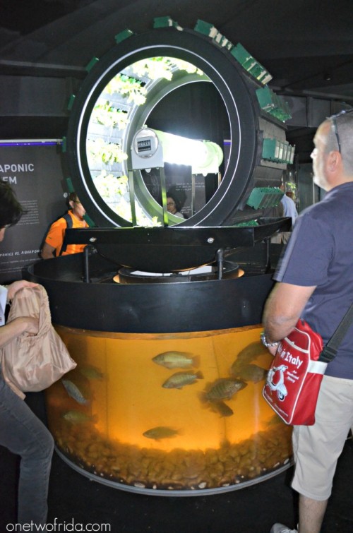 Expo Milano 2015 - Padiglione Belgio