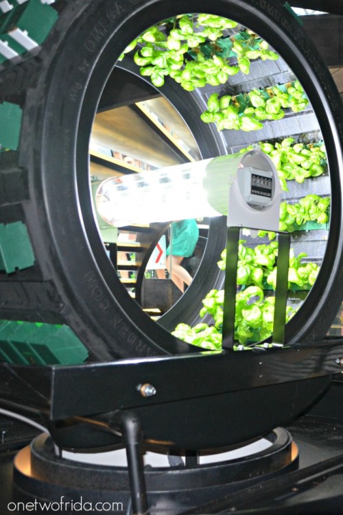 Expo Milano 2015 - Padiglione Belgio