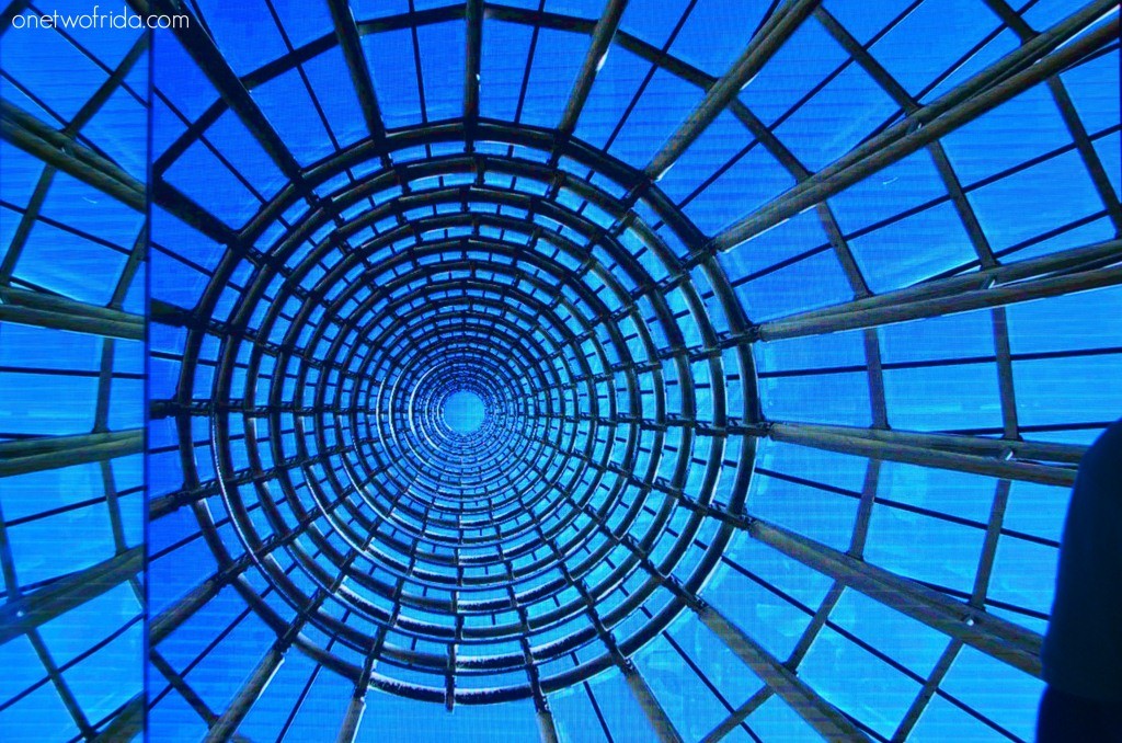 Expo Milano 2015 - Palazzo Italia