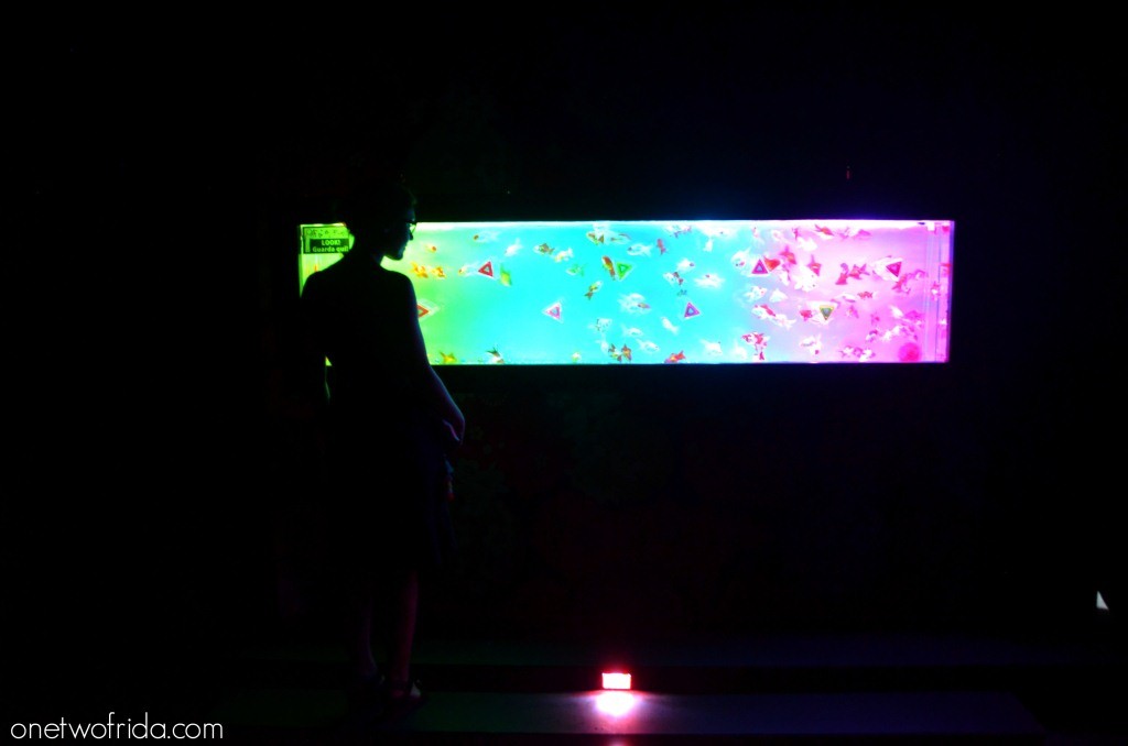 Art Aquarium - Kingyo - Milano