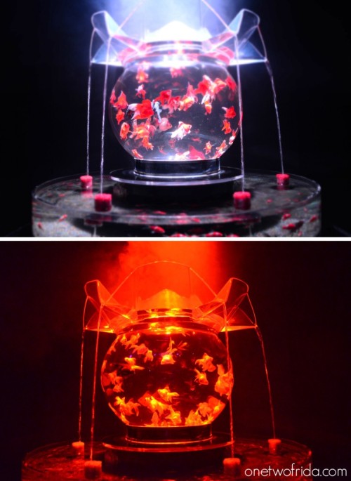 Art Aquarium - Kingyo - Milano