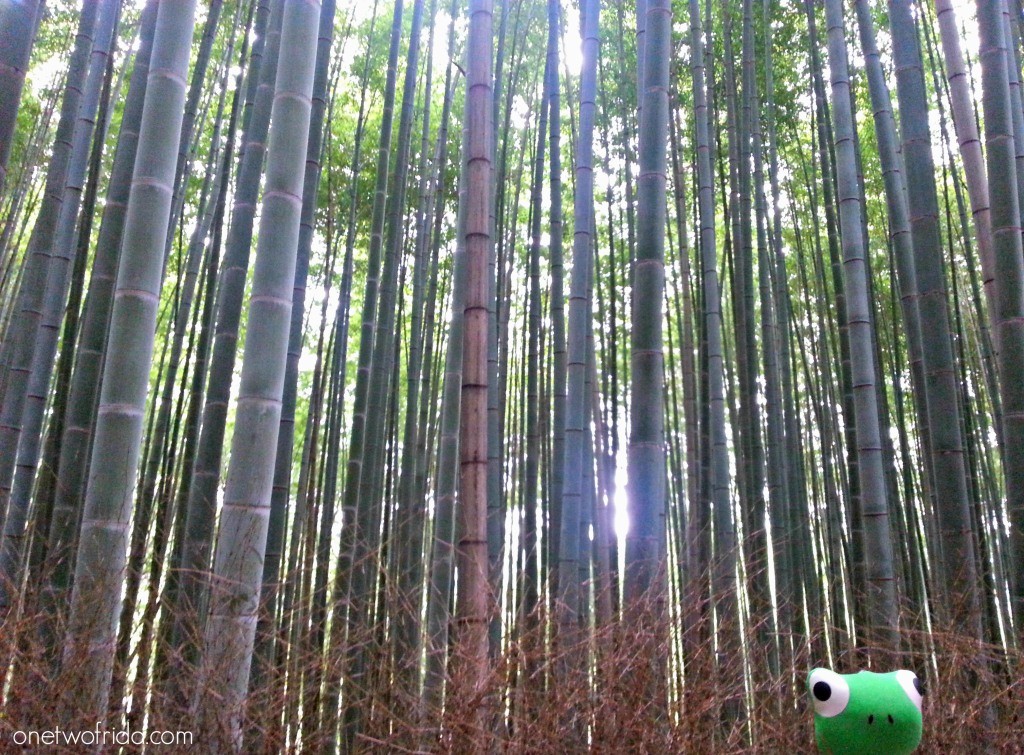 Cosa vedere a Kyoto - Arashiyama - foresta di bambù