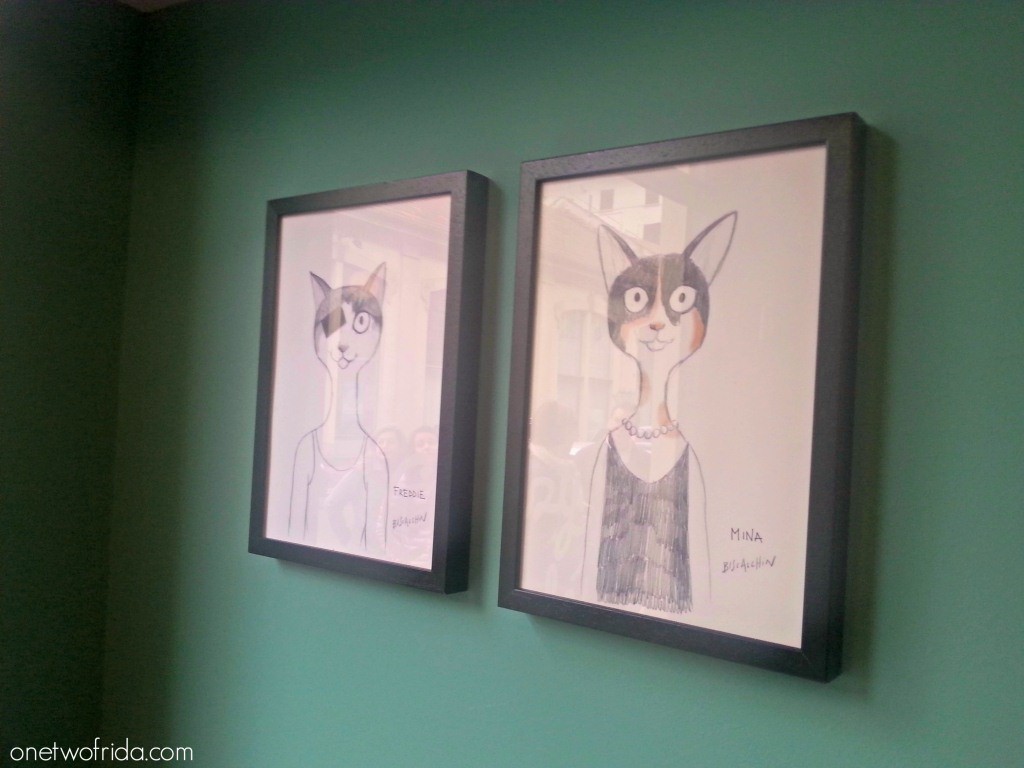 Crazy cat cafè - neko cafè a Milano