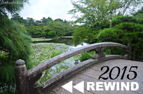rewind 2015