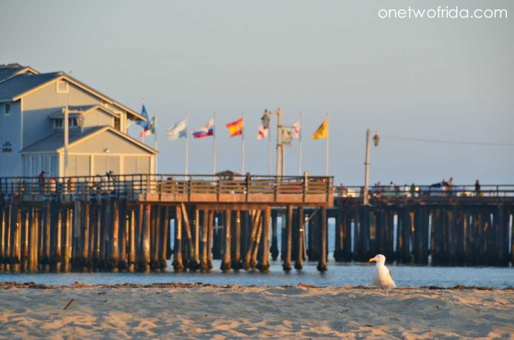 organizzare-viaggio-california